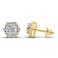 1 Ct  Round Shape Diamond Hexagon Halo Stud Earrings | 14K Yellow Gold